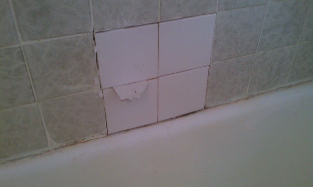 IMAG0079 Bathtub Doctor