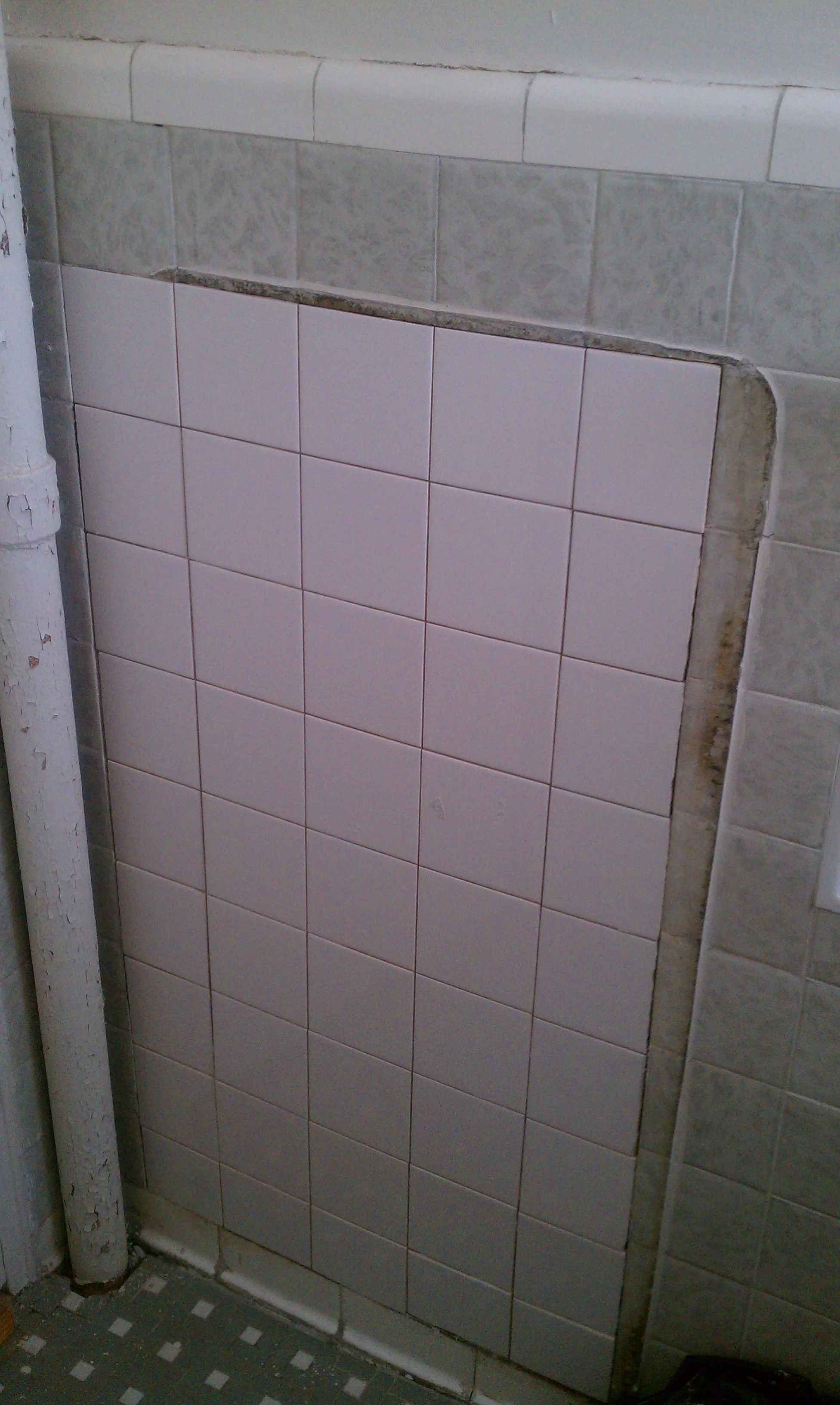 IMAG0081